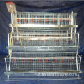 CAGE COOP CAGE COOD